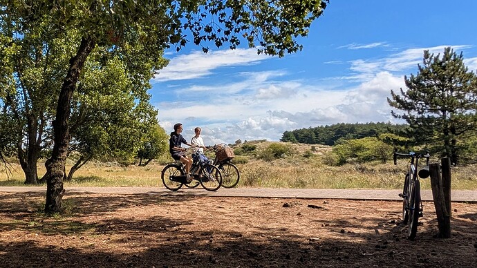 PXL_20250724_114220498