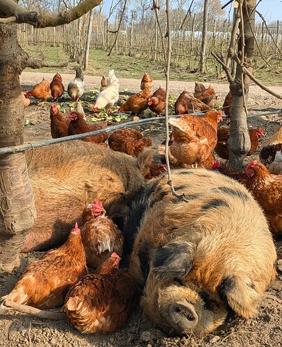 PXL_20250309_105110030~2