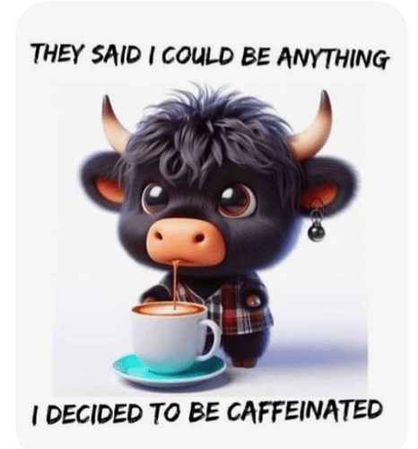 Screenshot_20250106-220810