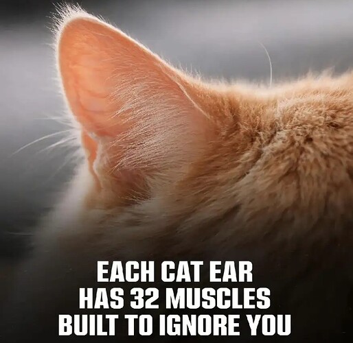 Screenshot_20260204_093238_YouTube