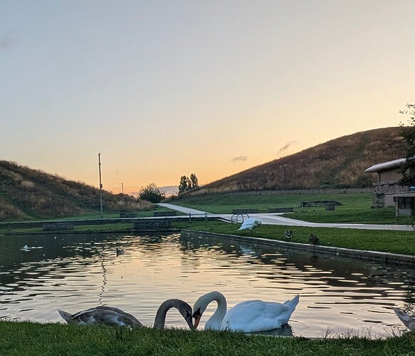 PXL_20250913_055912394.MP~2