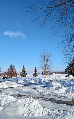 IMG_20251130_123801107_HDR