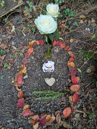 PXL_20251003_090500862