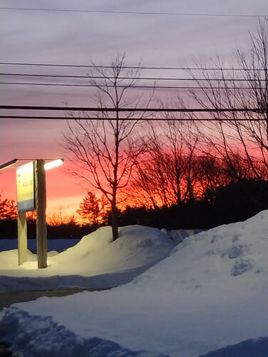 IMG_20260201_171400452