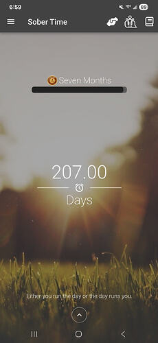 Screenshot_20260206_185957_Sober Time