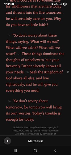 Screenshot_20251004_121902_Bible