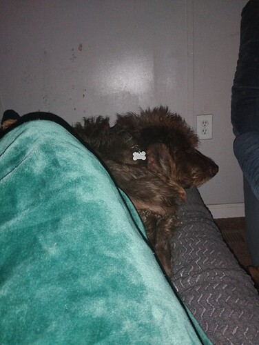 IMG_20251204_193849110