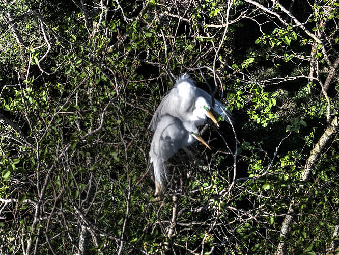 DJI_20260413173233_0402_D_Enhancer