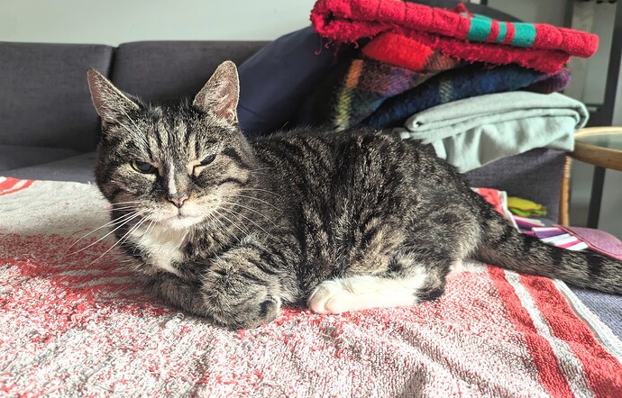 PXL_20250729_053300274~2