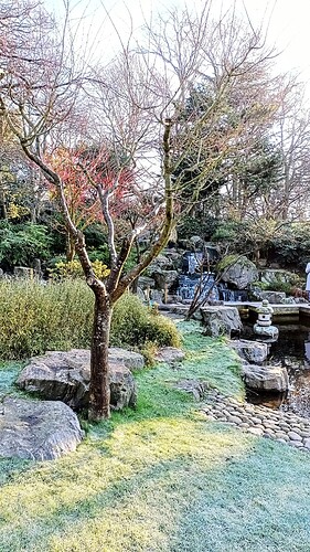 IMG_20250202_093431_967~2