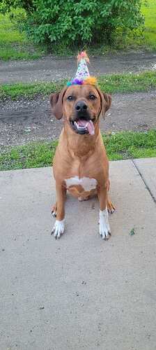 Resized_20250507_201553(1)