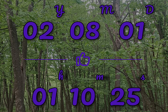 Screenshot_2026-08-04-11-10-33-404_com.sociosoft.sobertime