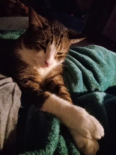 IMG_20260301_190205454