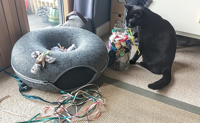 IMG_20250129_101204_663~2