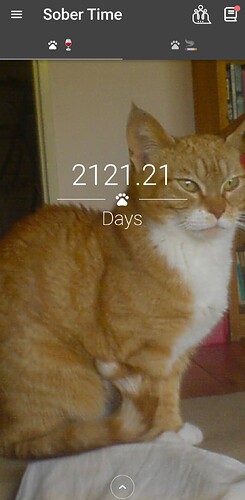 Screenshot_20250329-093601