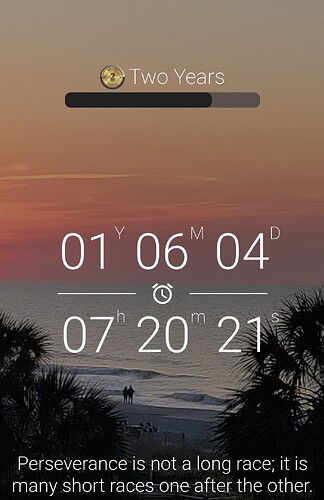 Screenshot_20260331_192022_Sober Time