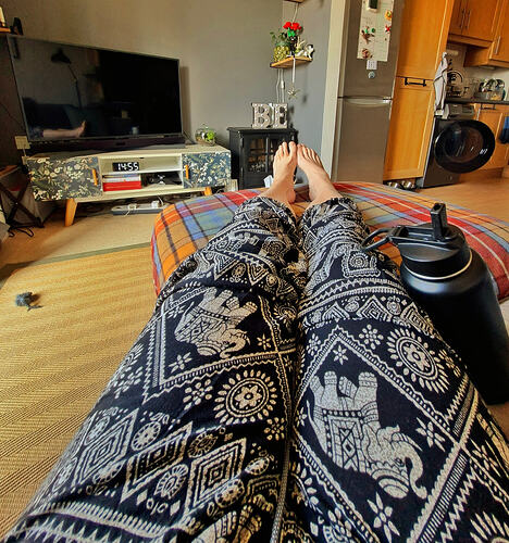 31594