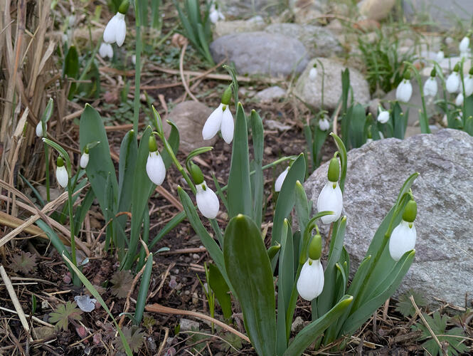 PXL_20260216_142157350