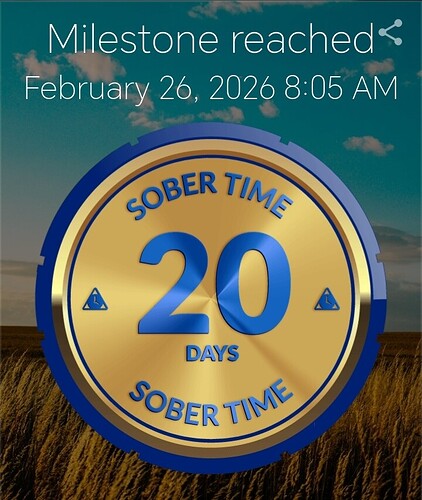 Screenshot_20260226_081535_com_sociosoft_sobertime_MainActivity