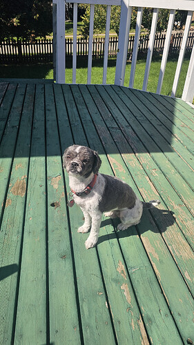 20261003_123608