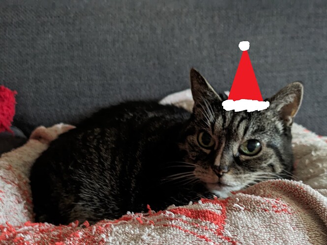 PXL_20231225_104146537