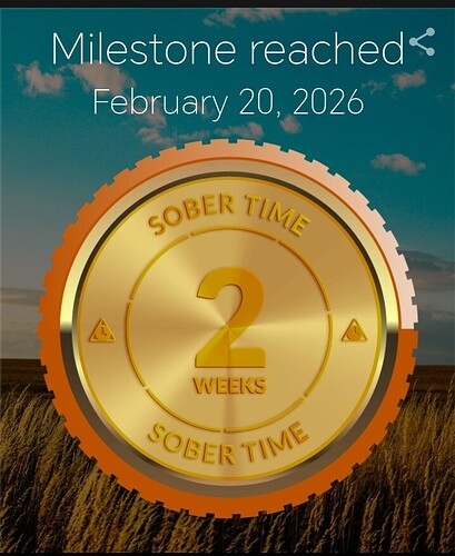 Screenshot_20260220_175329_com_sociosoft_sobertime_MainActivity