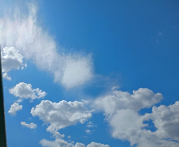 IMG_20250424_114254746_HDR~2