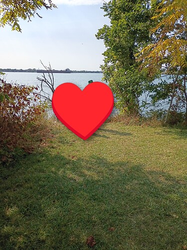 IMG_20250919_113349624_HDR~2