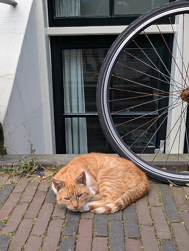 PXL_20240628_074459226 (1)