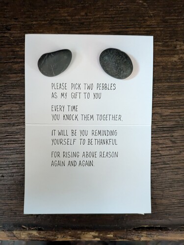 PXL_20241111_110101087