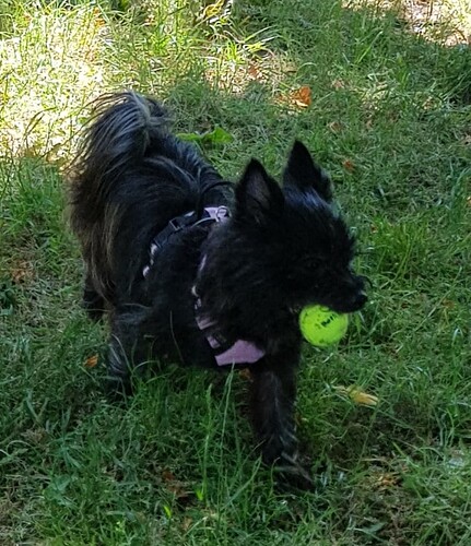 Screenshot_20230612-173241_Gallery