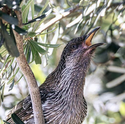 Screenshot_20251227_195644_Instagram