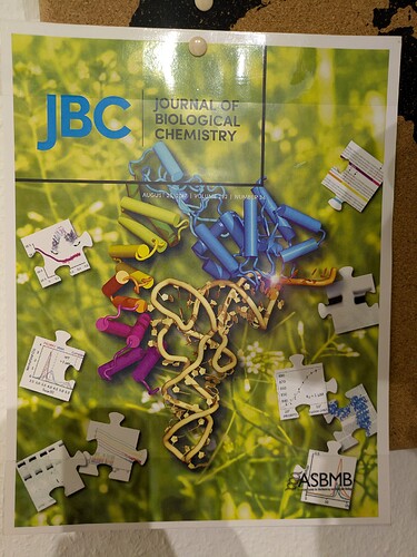 PXL_20251225_062711839