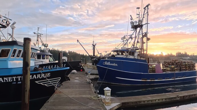 f672d466782a01f928db4766d96eef94_-1.0_1763517153750