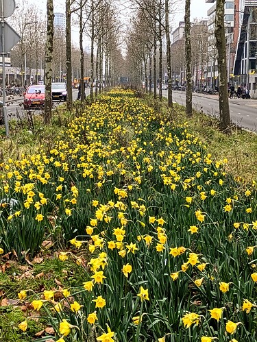 PXL_20260123_125935982.PORTRAIT.ORIGINAL