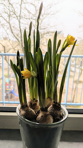 PXL_20260131_114423978~2