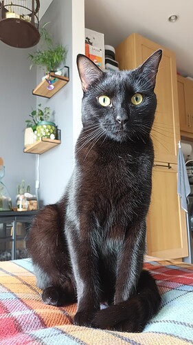 IMG_20250221_104616_862~2