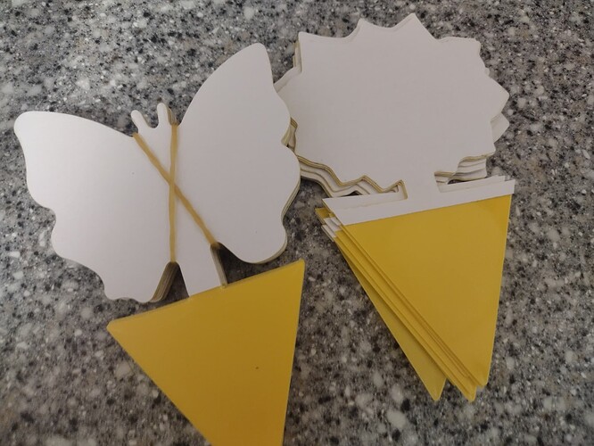 IMG_20240507_154553191