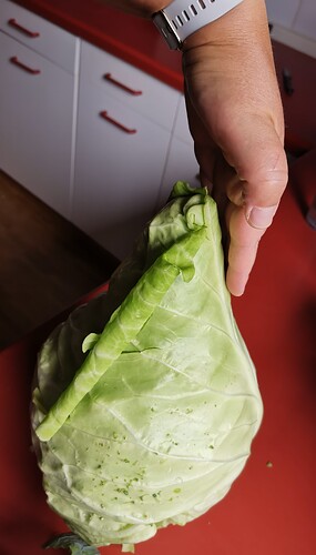 IMG_20240704_122103_edit_130856438767012