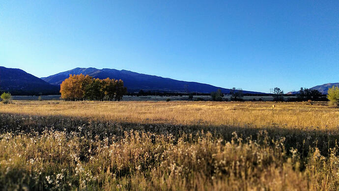 IMG_20191011_174855 (2)