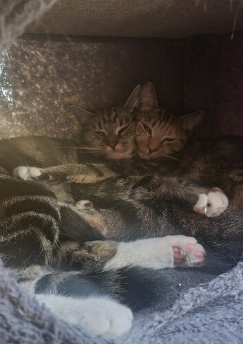 FB_IMG_1747494062562