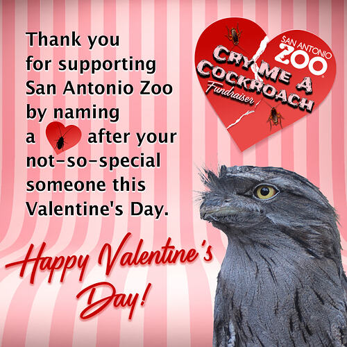 Cockroach - Valentine's Day Card