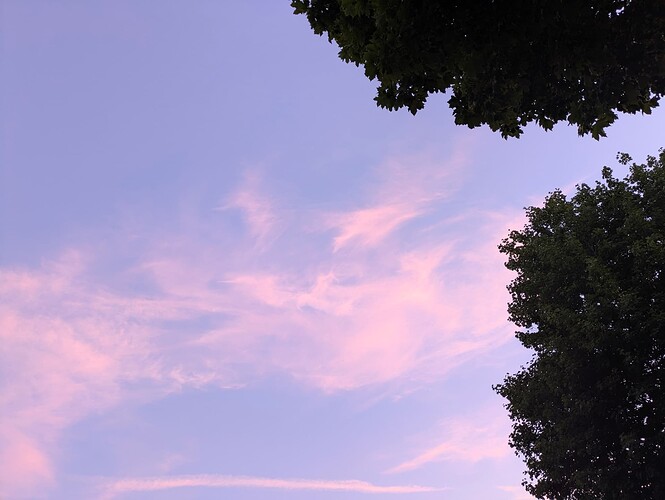 PXL_20250710_202521756