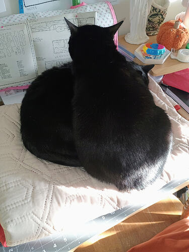 IMG_20260211_163505316_AE