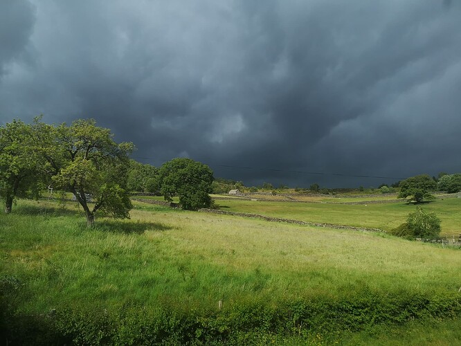 7dd4743a-6258-4804-bdff-5f433dbca751-1_all_2388