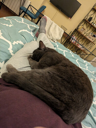 PXL_20260313_184506670