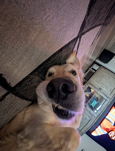 Screenshot_20251205_203643_Gallery