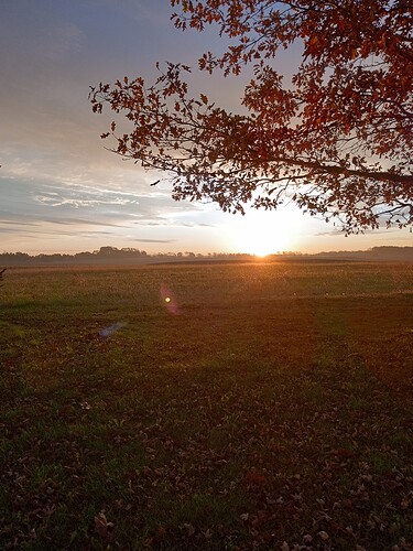 IMG_20251025_073145117_HDR