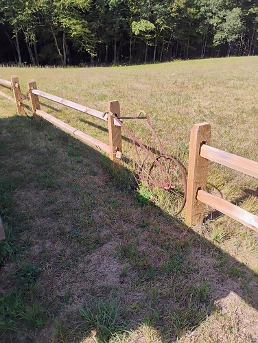 IMG_20250901_094858697_AE