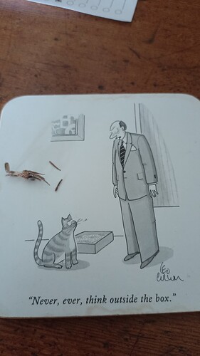 IMG_20250721_100611_437